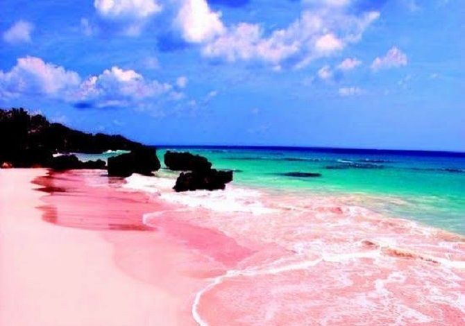 рожевий пляж