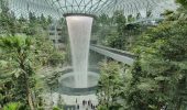 Сады Семирамиды 21 века: в аэропорту Сингапура возродили одно из Семи чудес света