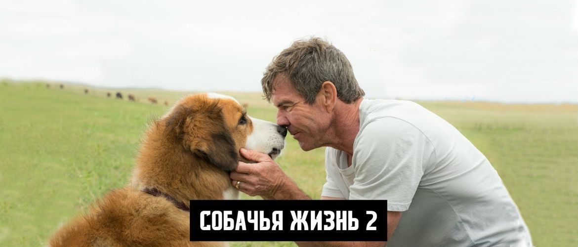 «Собачья жизнь 2»: продолжение доброго, трогательного фильма от компании Стивена Спилберга