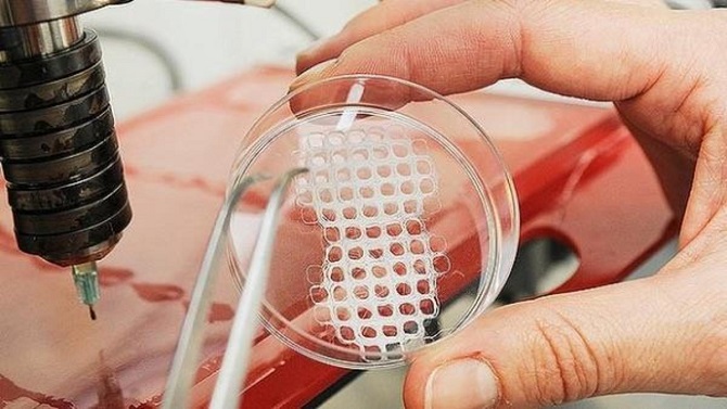  3D-печать живых тканей