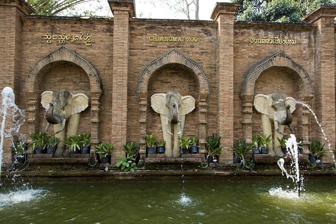 Зоопарк Чианг-Май  
