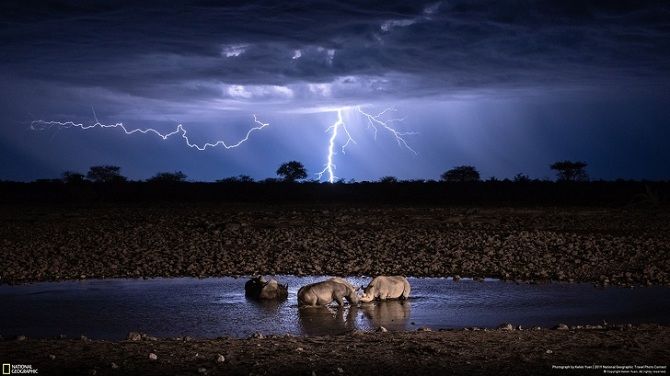 фото National Geographic
