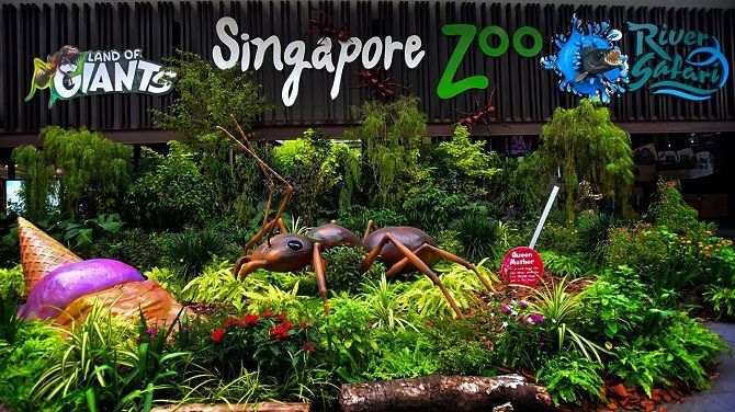 Сінгапурський зоопарк