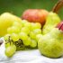 Яблочный спас 2023: традиции, приметы, когда праздновать?