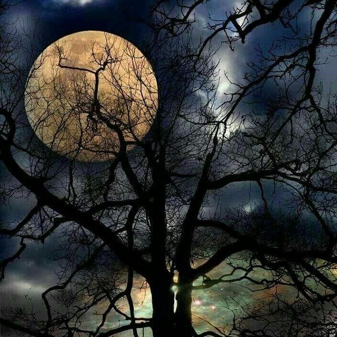Як це було: чарівні фото Повного Місяця від користувачів соцмереж 17