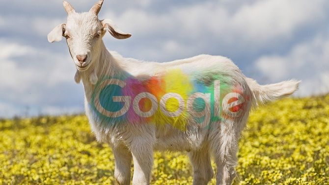 день рождения гугл, коза