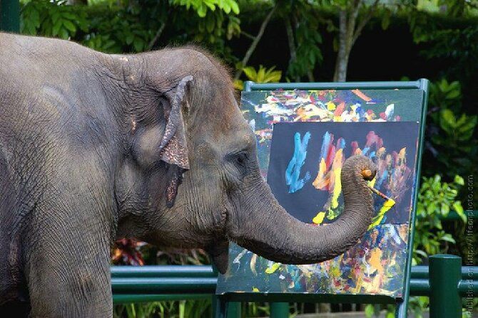 слон рисует