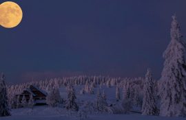 лунный календарь