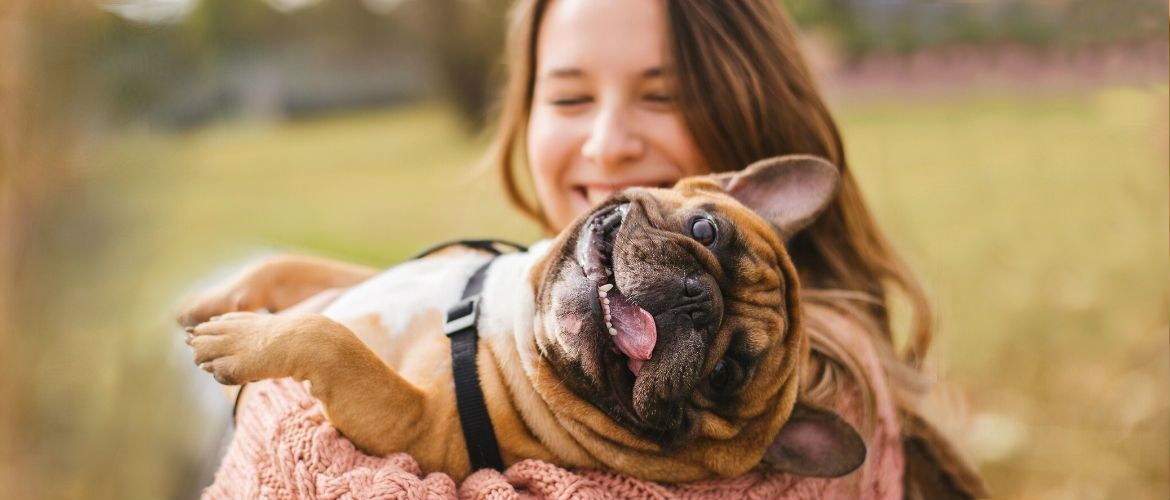 10+ reasons to get a dog