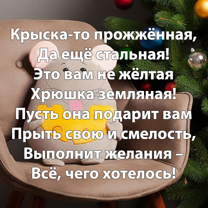 смешные поздравления с годом крысы