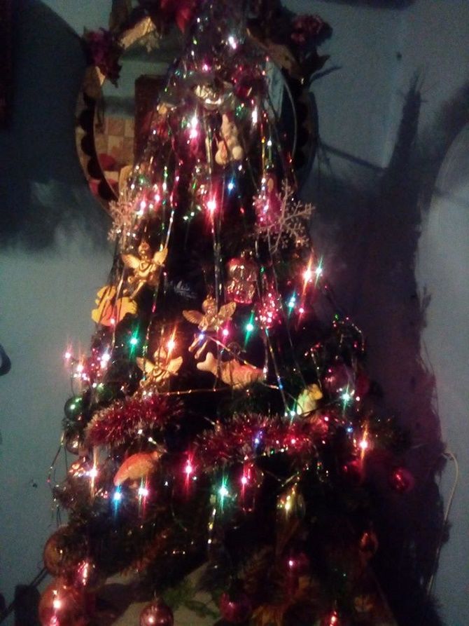 новогодняя елка фото
