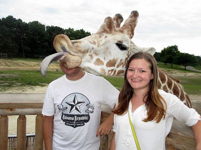 жираф фото