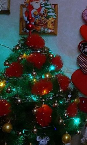 Найкрасивіші новорічні ялинки від читачів Joy-pup 4