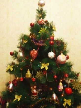 Самые красивые новогодние елки от читателей Joy-pup 5