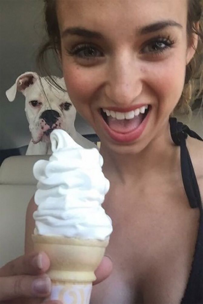 собака смотрит на мороженое