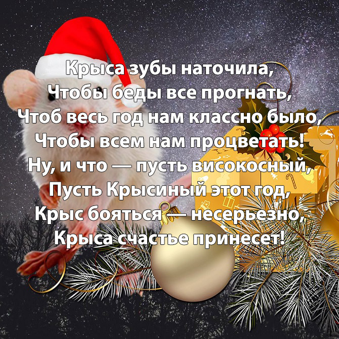 шуточные поздравления с новым годом крысы