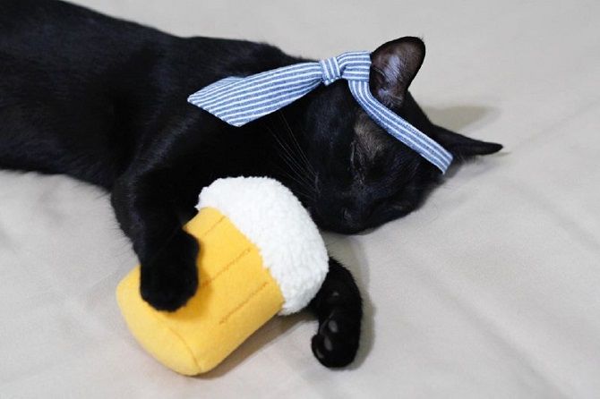 The cutest cats that are very attached to their toys 17