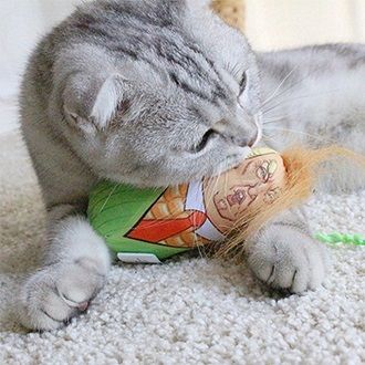 The cutest cats that are very attached to their toys 7