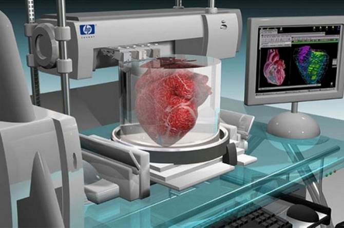 Выращивание органов и тканей