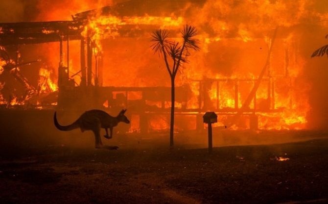 пожар в австралии