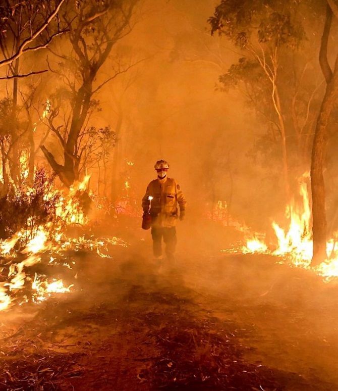 Австралія під час пожеж – як це було і що чекає країну в майбутньому 18