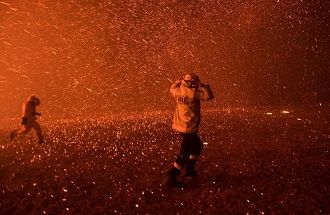 Австралия во время пожаров – как это было и что ожидает страну в будущем 19