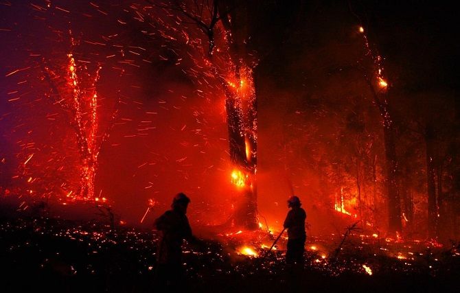 Австралия во время пожаров – как это было и что ожидает страну в будущем 22