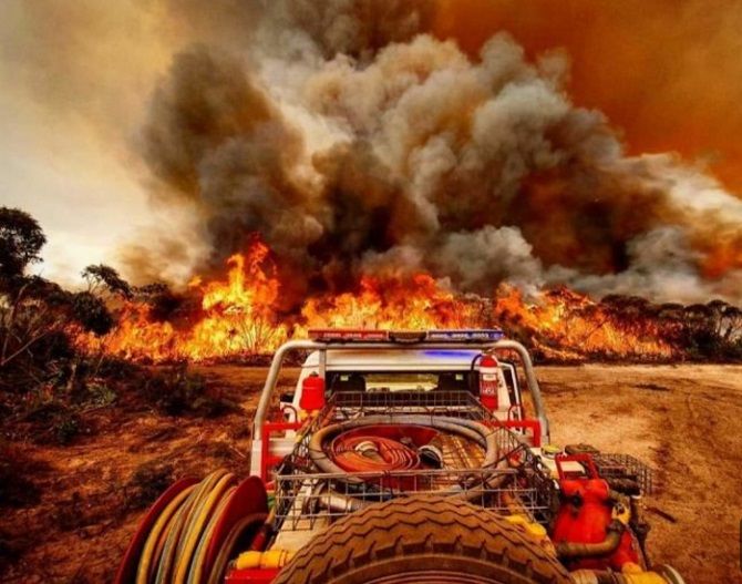 Австралия во время пожаров – как это было и что ожидает страну в будущем 23