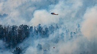Австралия во время пожаров – как это было и что ожидает страну в будущем 24