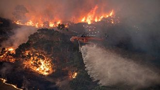 Австралия во время пожаров – как это было и что ожидает страну в будущем 25