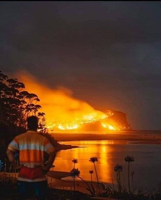Австралия во время пожаров – как это было и что ожидает страну в будущем 3