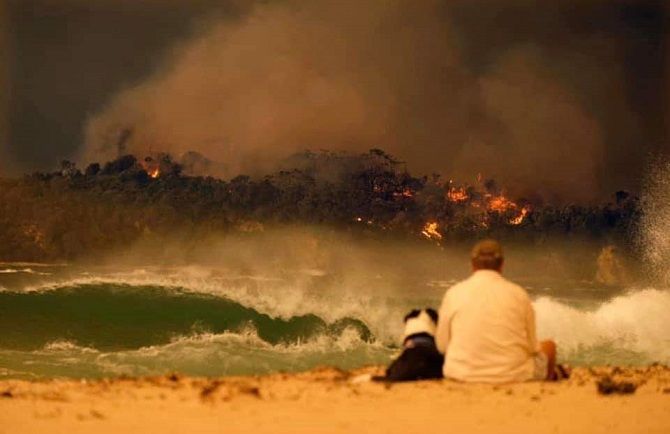 Австралия во время пожаров – как это было и что ожидает страну в будущем 5