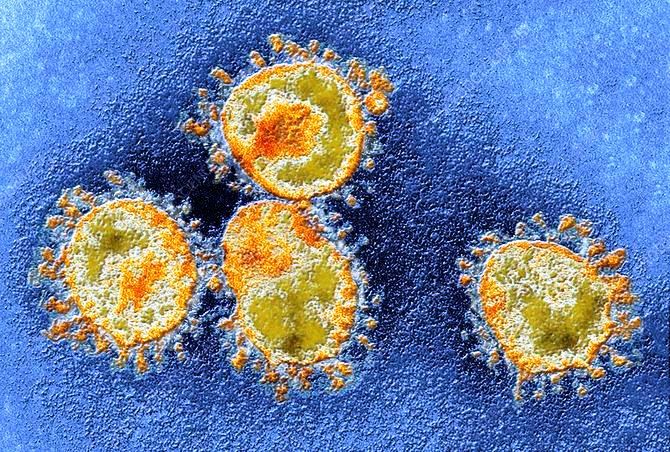 Что такое коронавирус