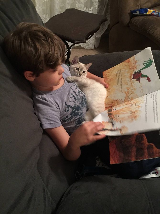 дитина читає книгу