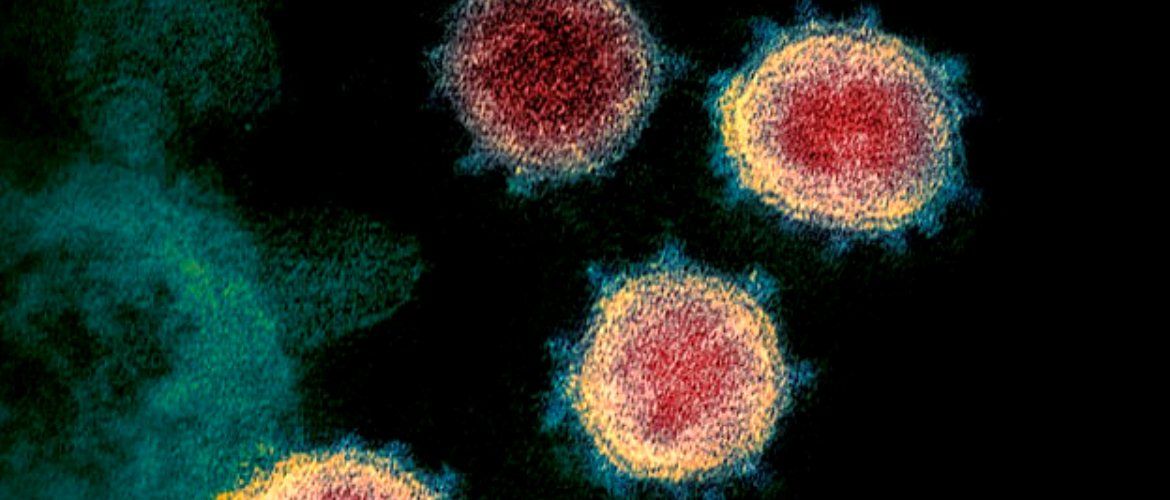 Американские ученые завершили разработку вакцины от коронавируса