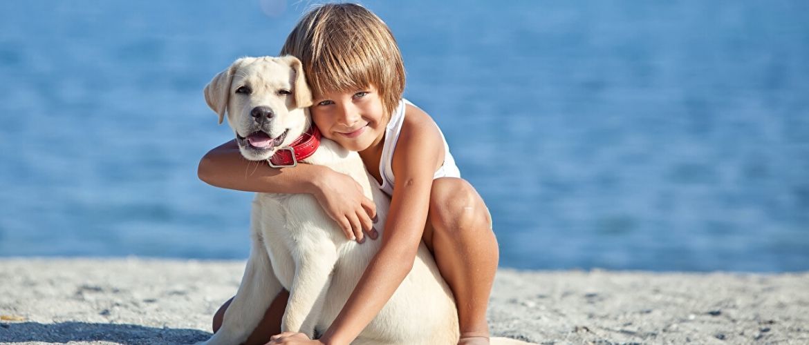 Топ 10 найвірніших порід собак у світі