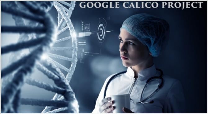 Google Calico