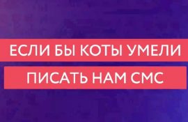 Если бы коты умели писать нам СМС