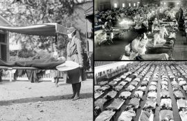 Вирус «испанка»: неизданная история самого страшного вируса