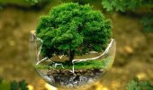 Всемирный день охраны окружающей среды 2021 – красивые картинки, стихи и проза на День эколога