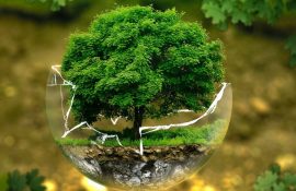 Всесвітній день охорони навколишнього середовища 2020 – красиві картинки, вірші і проза