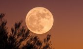 Осетровий Місяць: коли буде Повня у серпні 2020 року?