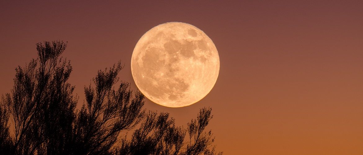 Осетровая Луна: когда будет Полнолуние в августе 2020 года?