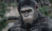 Неймовірні фільми про мавп, від перегляду яких неможливо відірватися