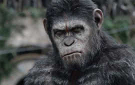 Неймовірні фільми про мавп, від перегляду яких неможливо відірватися