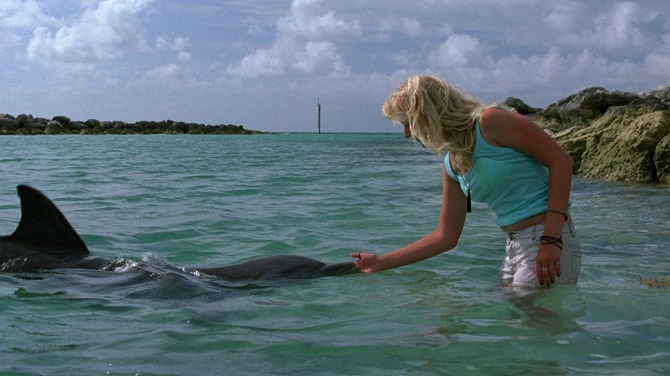 Найкрасивіші і пізнавальні фільми про дельфінів 9
