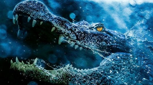 Фильмы про крокодилов: подборка лучших фильмов
