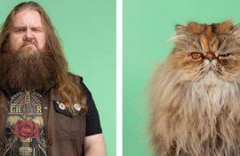 А у вас так само? Фотограф зобразив, наскільки схожі коти та їх господарі