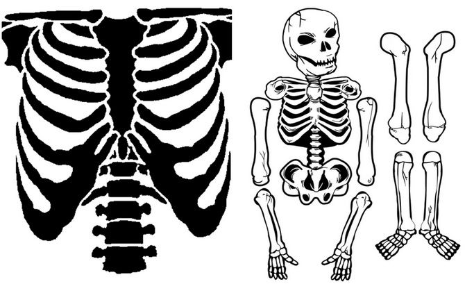 Show the bones: DIY Halloween skeleton costume 4