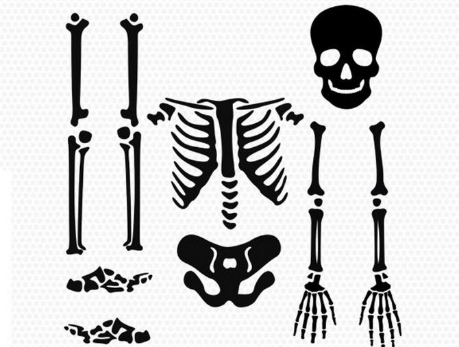 Printable Diy Skeleton Costume Template